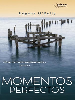 cover image of Momentos perfectos